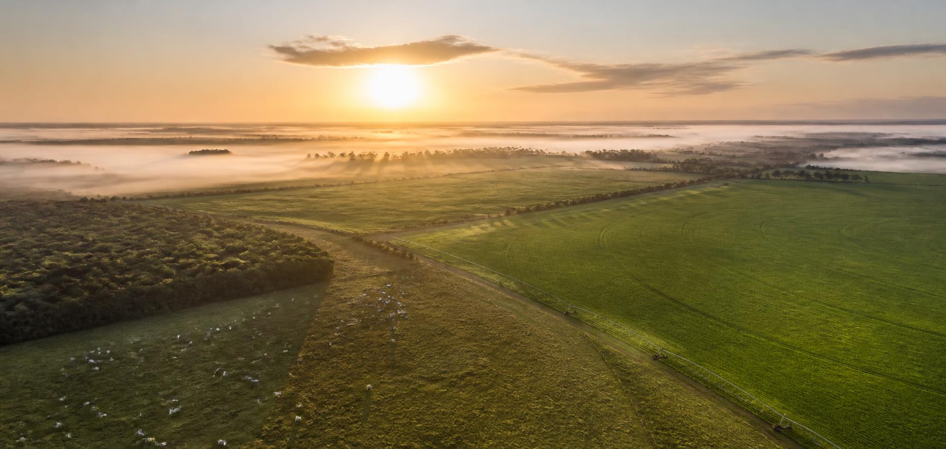 Propriedade rural brasileira ao amanhecer